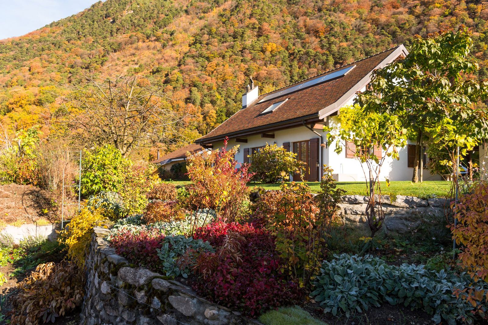 Jardin d'automne à flanc de coteau